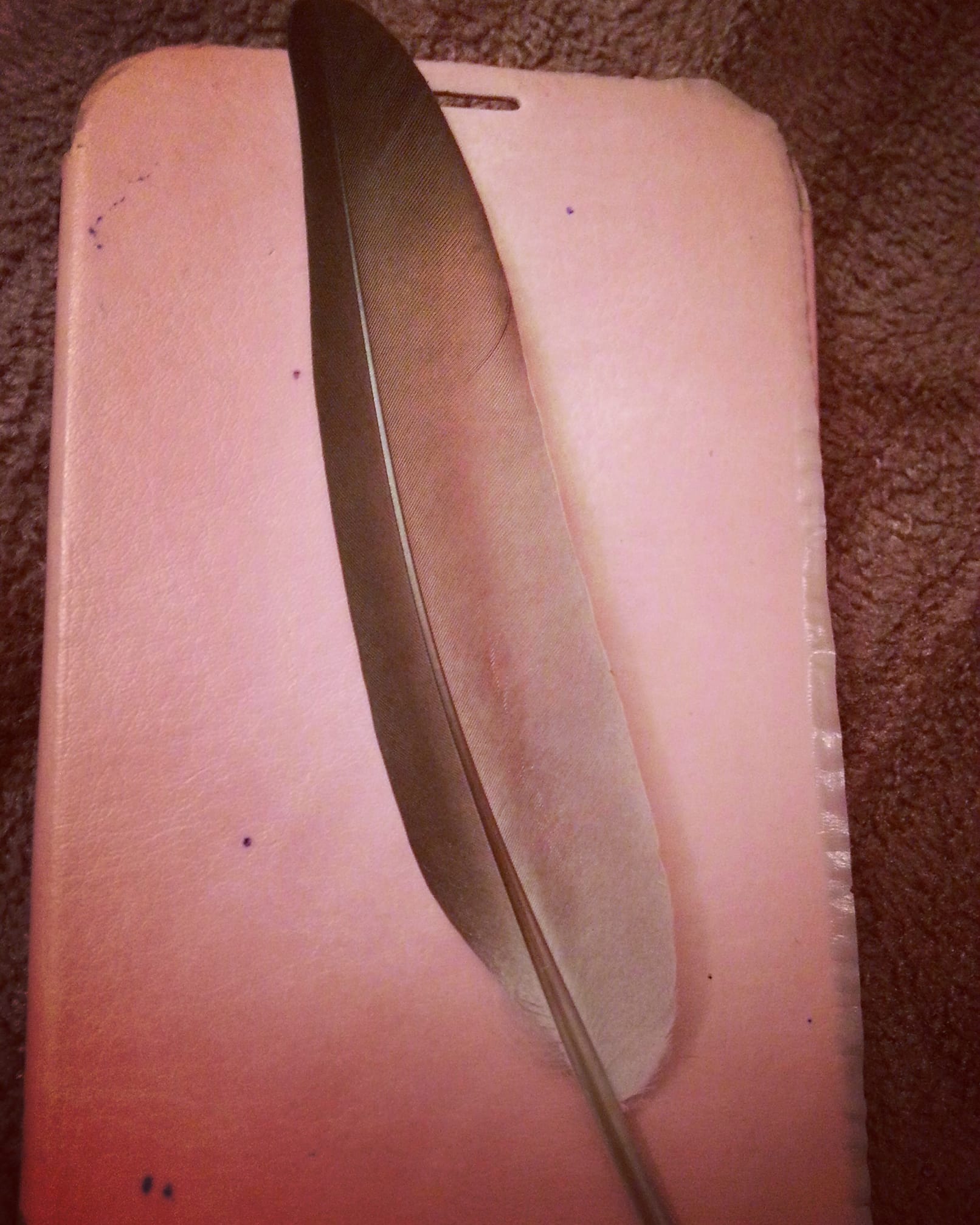 darier hastalığında LDN kullanılabilir mi?